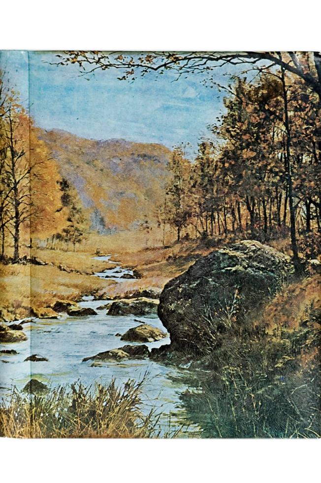Paysage nature avec une rivière